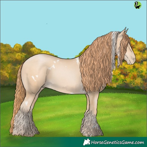 Horse Color:White Spotted Buckskin Pearl 
