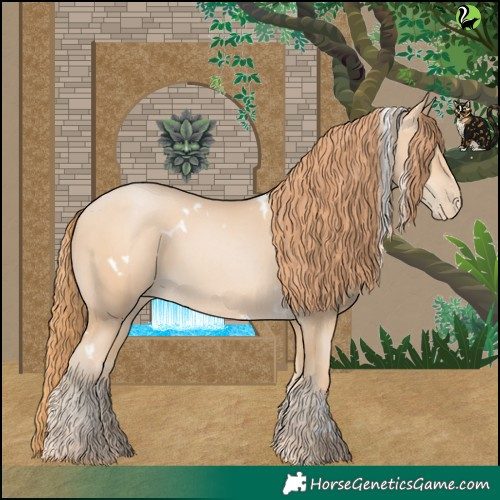 Horse Color:White Spotted Buckskin Pearl 