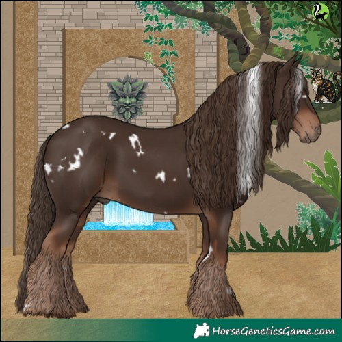 Horse Color:White Spotted Liver Chestnut 