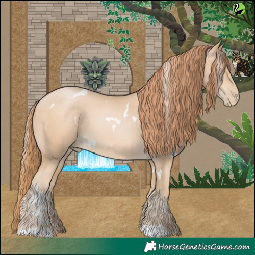 Horse Color:White Spotted Buckskin Pearl 