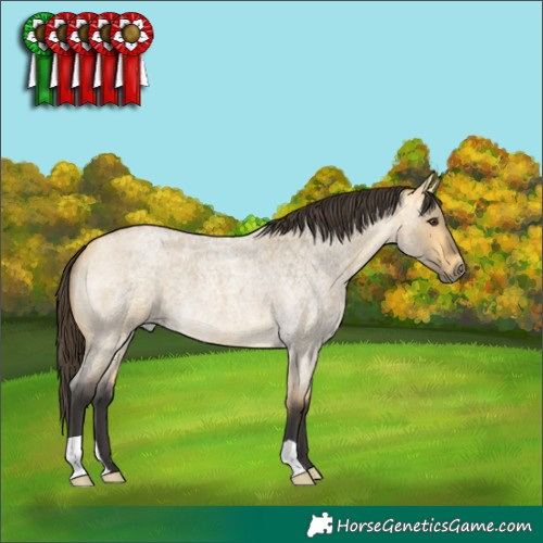 Horse Color:Buckskin Roan Dun 