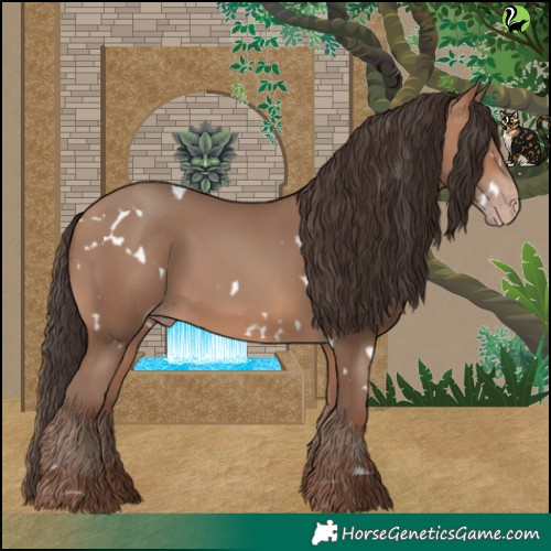 Horse Color:White Spotted Sable Champagne 
