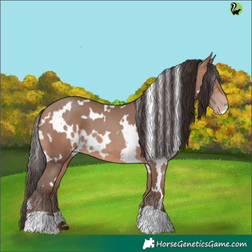 Horse Color:White Spotted Sable Champagne