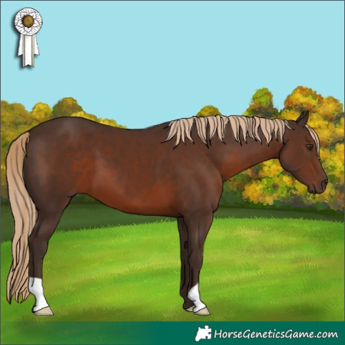 Horse Color:Liver Chestnut 