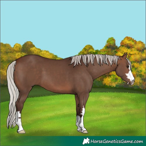 Horse Color:Silver Brown 