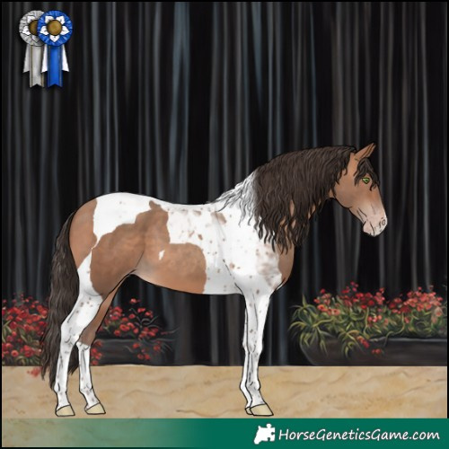 Horse Color:Amber Champagne Tobiano 