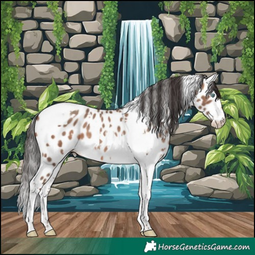 Horse Color:White Spotted Sable Champagne Tobiano Appaloosa 