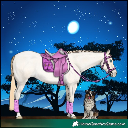 Horse Color:Buckskin Roan Pearl  and Buckskin Roan Pearl 