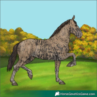 Horse Color:Smoky Black and Classic Cream Champagne