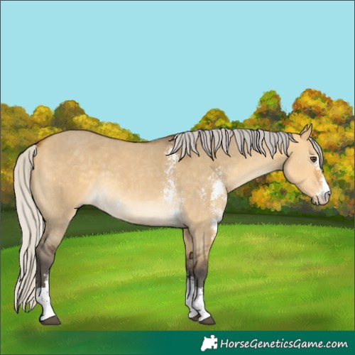 Horse Color:Silver Buckskin Dun Sabino
