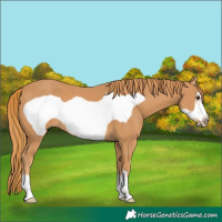 Horse Color:Chestnut Frame 