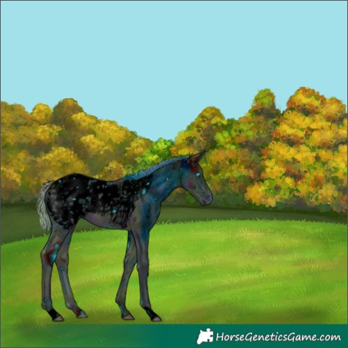 Horse Color:ERROR: UNKNOWN ANOMALY