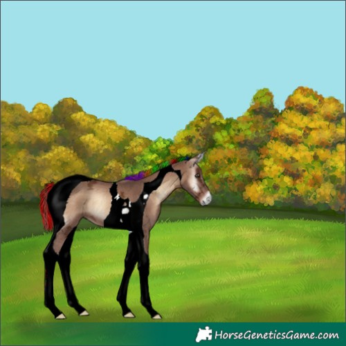 Horse Color:Painted Red Onyx Ice Tobiano 