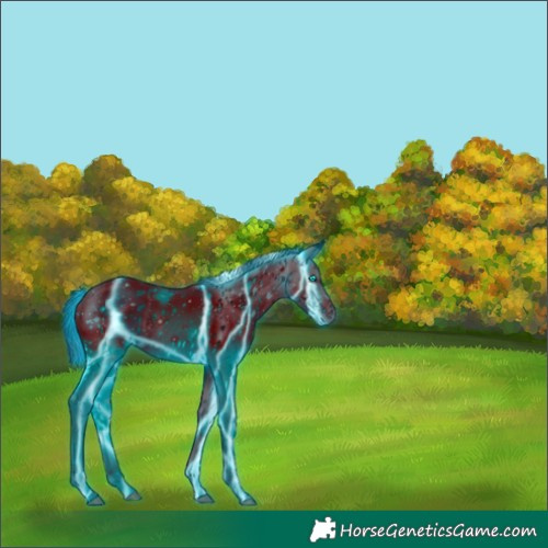 Horse Color:ERROR: UNKNOWN ANOMALY