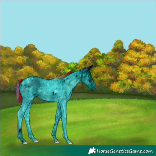 Horse Color:ERROR: UNKNOWN ANOMALY