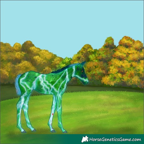 Horse Color:ERROR: UNKNOWN ANOMALY