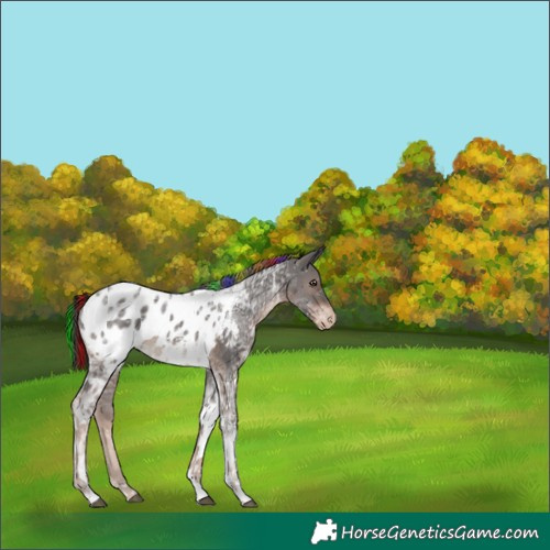 Horse Color:Painted Liver Chestnut Ice Tobiano Blanket 
