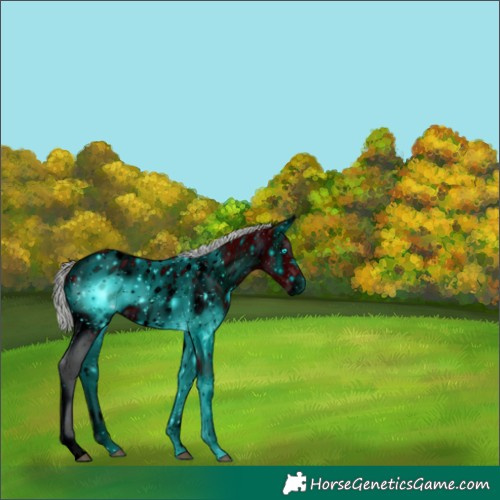 Horse Color:ERROR: UNKNOWN ANOMALY