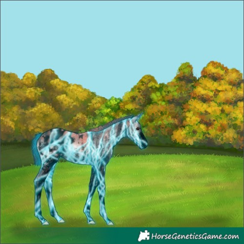 Horse Color:Void Platinum Thunderstruck White Spotted Brown Ice Onyx Blanket