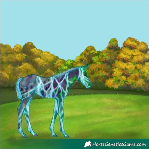 Horse Color:ERROR: UNKNOWN ANOMALY