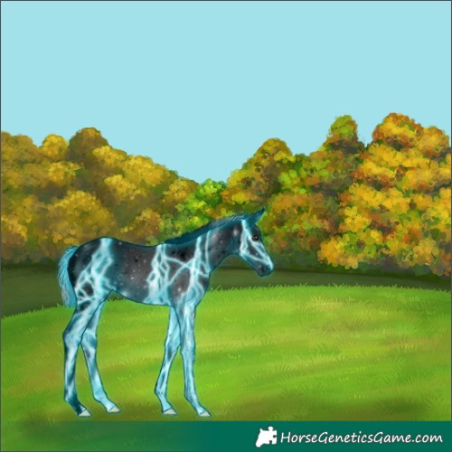 Horse Color:Void Platinum Thunderstruck Red Onyx Ice Tobiano Appaloosa