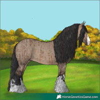 Horse Color:Brown Dun and Brown Dun