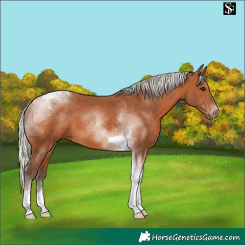 Horse Color:Silver Bay Tobiano 