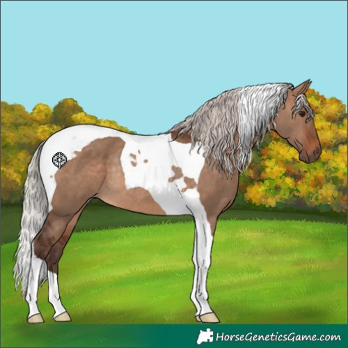 Horse Color:Silver Brown Dun Tobiano Rabicano