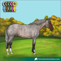 Horse Color:Silver Brown Roan 