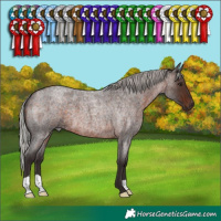 Horse Color:Silver Brown Roan