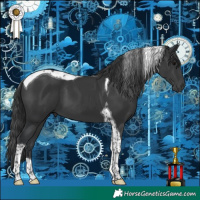 Horse Color:Black Tobiano 