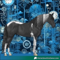 Horse Color:Black Tobiano 