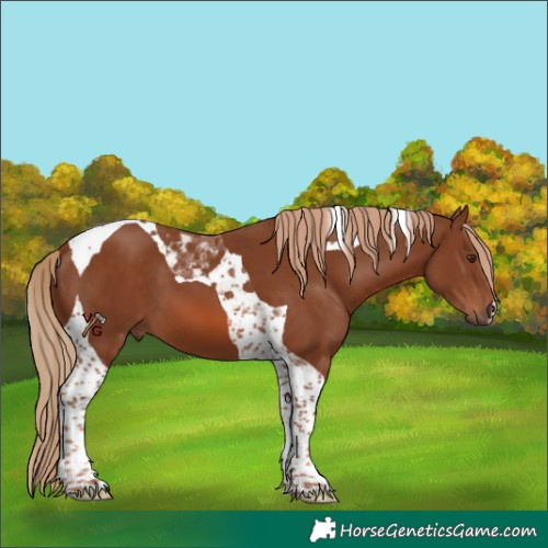 Horse Color:Chestnut Tobiano 