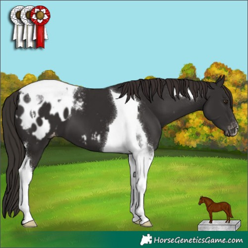 Horse Color:Liver Chestnut Tobiano Blanket 