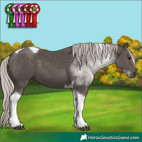 Horse Color:Silver Black Tobiano 