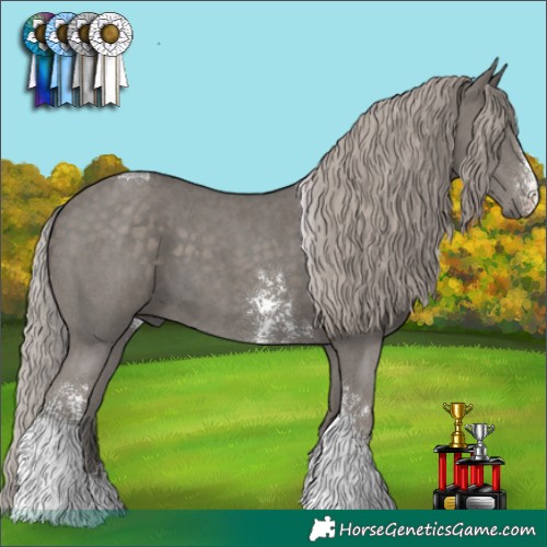Horse Color:Silver Black Sabino Tobiano 