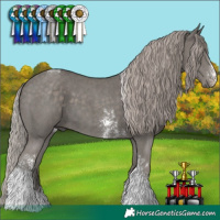 Horse Color:Silver Black Sabino Tobiano