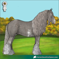 Horse Color:Silver Black Sabino Tobiano 