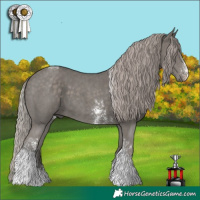 Horse Color:Silver Black Sabino Tobiano 