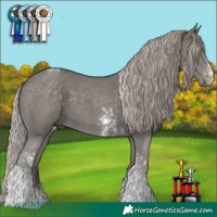 Horse Color:Silver Black Sabino Tobiano 