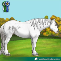 Horse Color:Liver Chestnut Sabino Splash Tobiano
