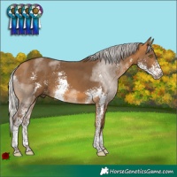 Horse Color:Silver Buckskin Sabino 