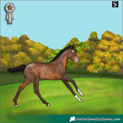 Horse Color:Gray Sable Champagne 