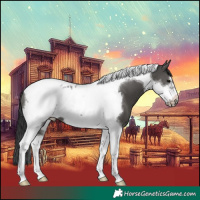 Horse Color:Black Tobiano Frame Blanket 