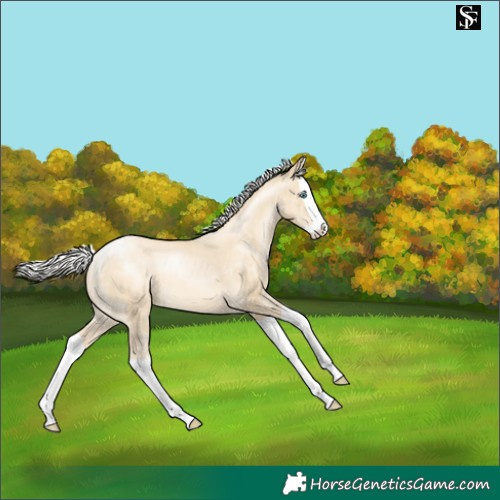 Horse Color:Silver Sable Cream Champagne Pearl Splash Appaloosa 