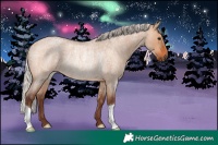 Horse Color:Silver Bay Roan Dun Rabicano 
