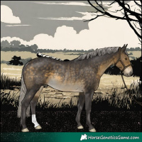 Horse Color:Silver Buckskin Rabicano