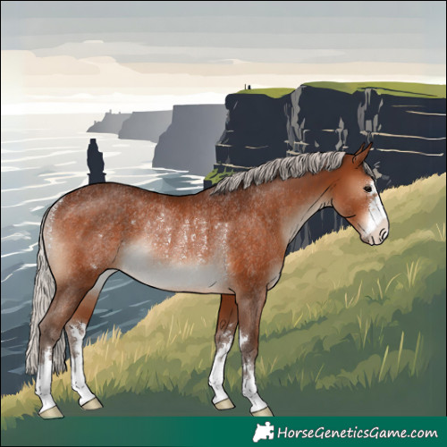Horse Color:Silver Brown Rabicano
