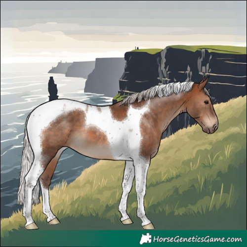 Horse Color:Silver Brown Tobiano