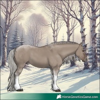 Horse Color:Silver Grullo Tobiano